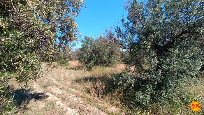 Casa en venta en Vélezrubio, Almería