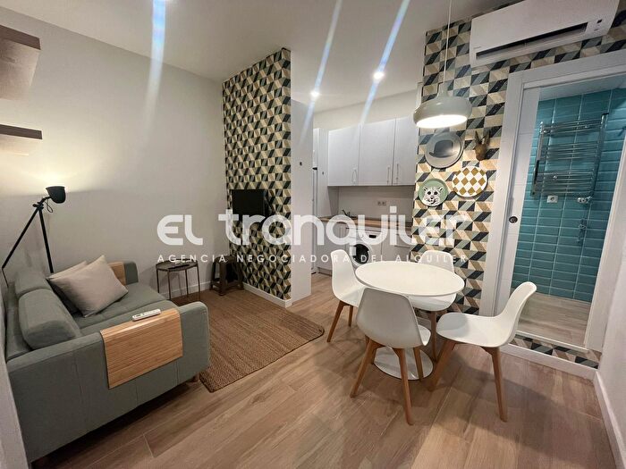 Piso en alquiler en Centro, Embajadores Lavapiés de 1 habitacion