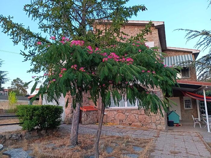 Casas en venta y pisos alquiler - 1