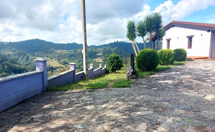 Casas en venta y pisos alquiler - 3