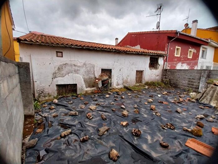Casas en venta y pisos alquiler - 3