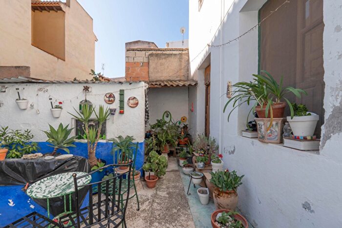 Casas en venta y pisos alquiler - 3