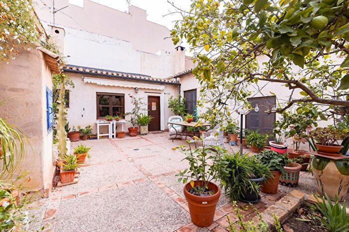Casas en venta y pisos alquiler - 1