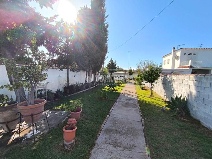 Casas en venta y pisos alquiler - 3