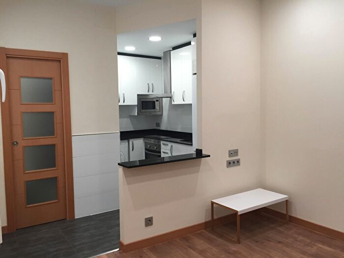 Piso en alquiler en Centro, Embajadores Lavapiés de 1 habitacion