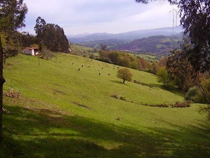 Casa en venta en Grado, Asturias