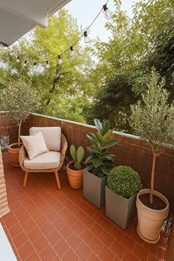 Casas en venta y pisos alquiler - 1