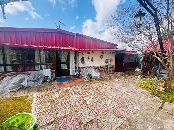 Casas en venta y pisos alquiler - 1
