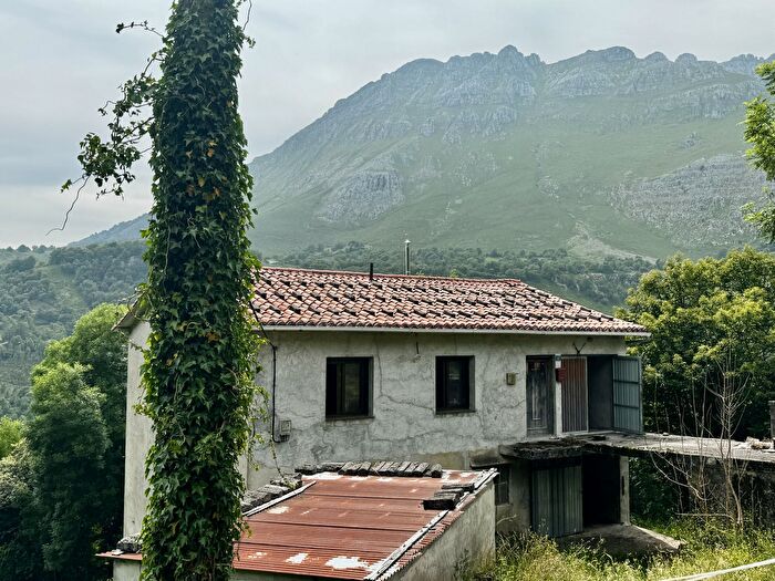 Casas en venta y pisos alquiler - 1
