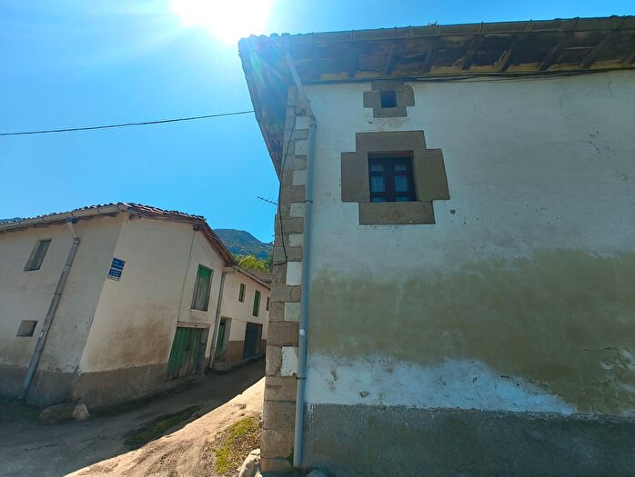 Casas en venta y pisos alquiler - 3