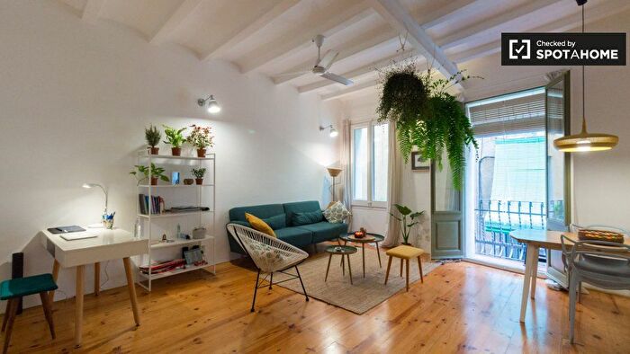 Piso en alquiler en Ciutat Vella, Sant Pere Sta Caterina i la Ribera de 1 habitacion