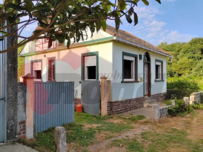Casas en venta y pisos alquiler - 1