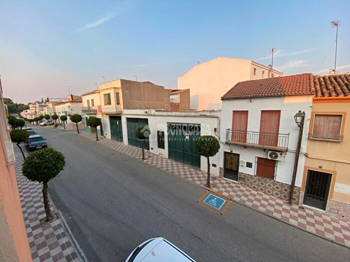Casas en venta y pisos alquiler - 1