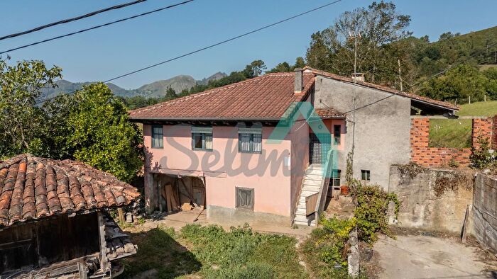 Casas en venta y pisos alquiler - 1