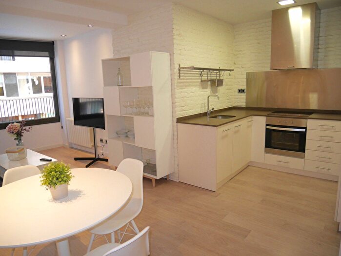 Piso en alquiler en Sarrià Sant Gervasi, Sant Gervasi i la Bonanova de 1 habitacion