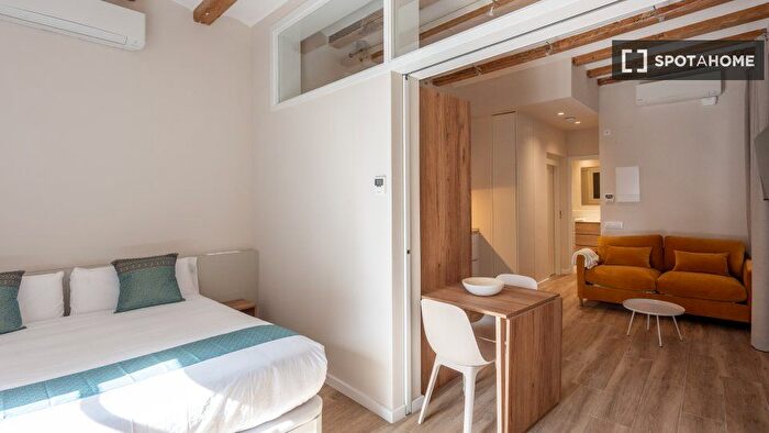 Piso en alquiler en Ciutat Vella, Barri Gòtic de 1 habitacion