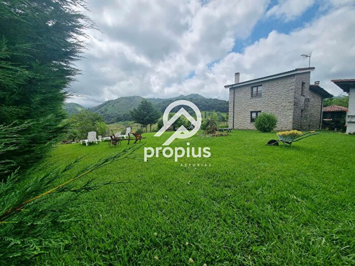 Casas en venta y pisos alquiler - 3