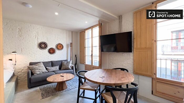 Piso en alquiler en Ciutat Vella, Barri Gòtic de 1 habitacion