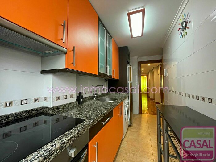 Piso en alquiler en San Pedro Siana, Mieres Asturias de 1 habitacion