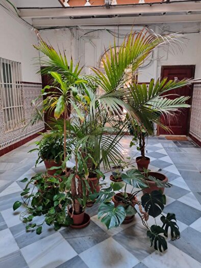 Casas en venta y pisos alquiler - 1