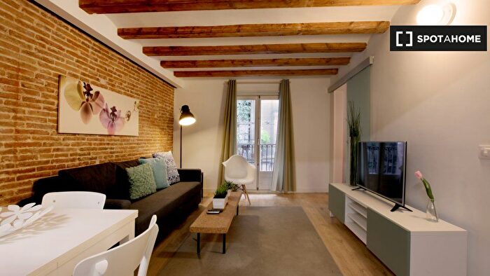 Piso en alquiler en Ciutat Vella, Sant Pere Sta Caterina i la Ribera de 2 habitaciones