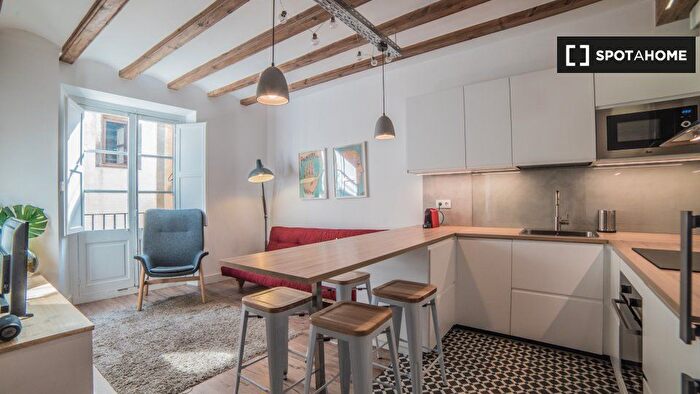 Piso en alquiler en Ciutat Vella, Sant Pere Sta Caterina i la Ribera de 2 habitaciones