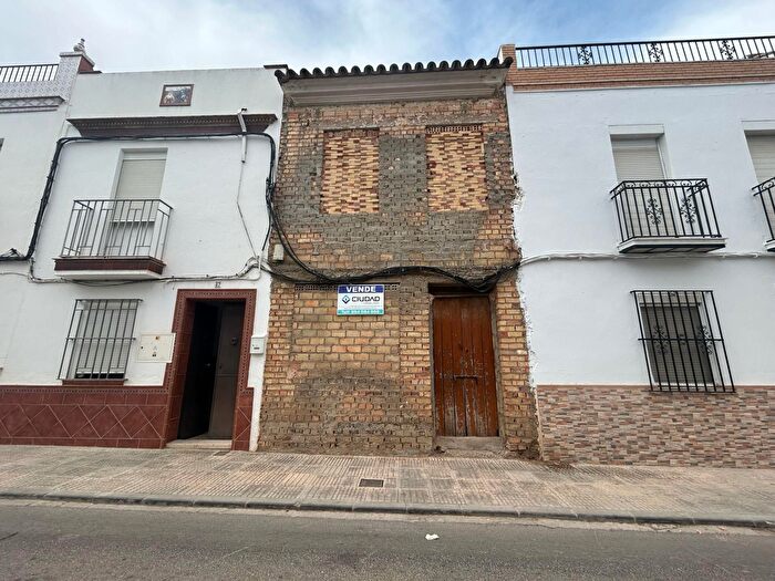 Casas en venta y pisos alquiler - 1