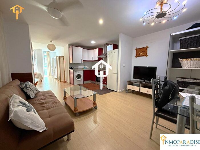 Piso en venta en Pla Carolinas, Carolinas Bajas de 1 habitacion