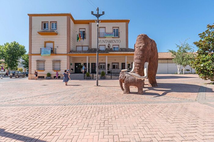 Casas en venta y pisos alquiler - 1