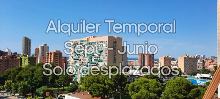 Piso en alquiler en Juzgados Plaza de Toros, Benidorm de 1 habitacion
