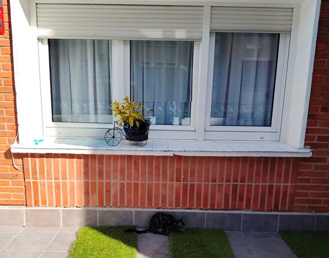 Casas en venta y pisos alquiler - 2