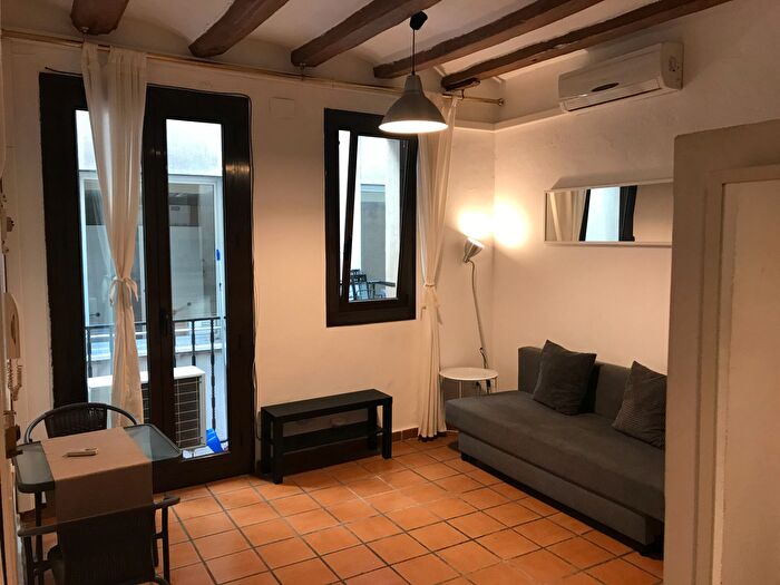Piso en alquiler en Ciutat Vella, Sant Pere Sta Caterina i la Ribera de 1 habitacion