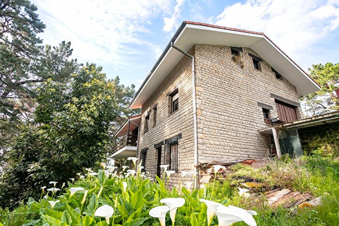 Casas en venta y pisos alquiler - 1